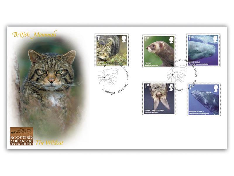 British Mammals - Scottish Wildcat Association