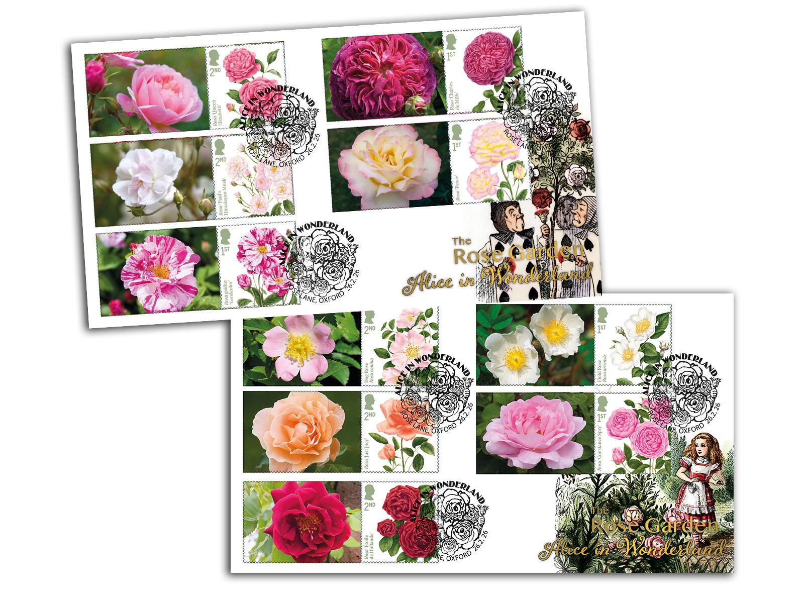 Alice in Wonderland | Roses Collector's Edition Pair