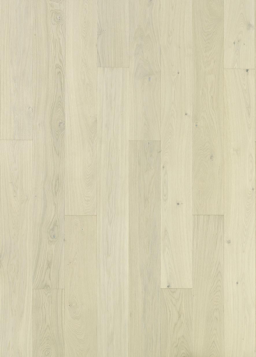 TIMBERWISE OAK SELECT CREAM