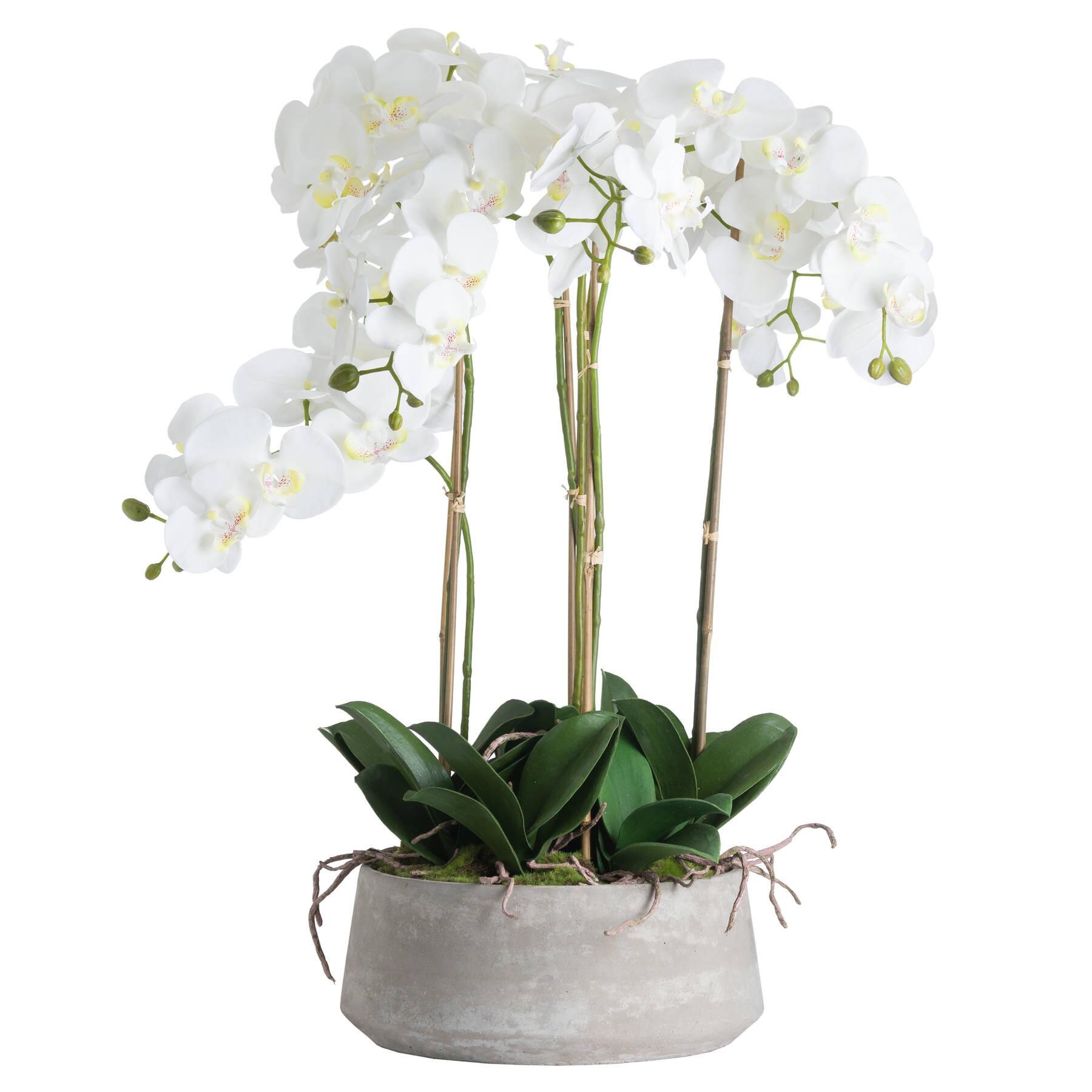 90cm Large White Artificial Orchid Plant