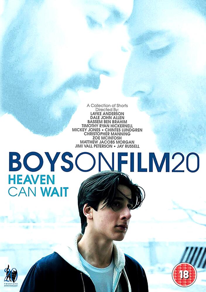 Boys On Film 20 DVD