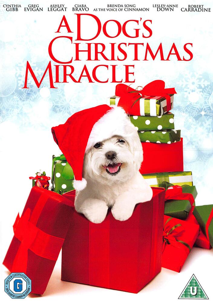 A Dogs Christmas Miracle DVD
