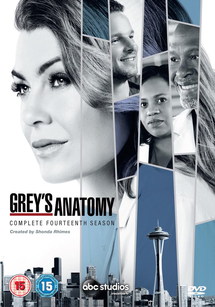 Greys Anatomy Season 14 DVD