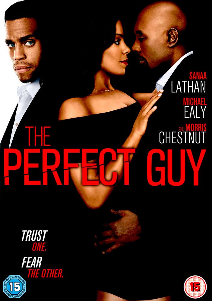 The Perfect Guy DVD