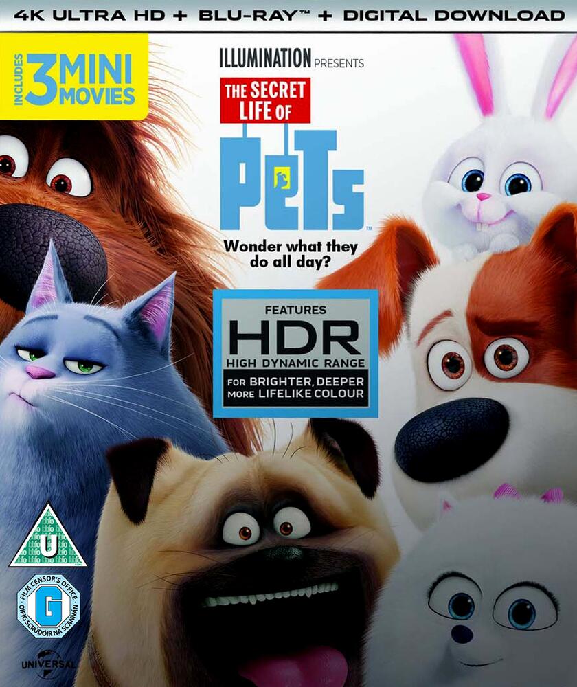 The Secret Life Of Pets 4K Ultra HD