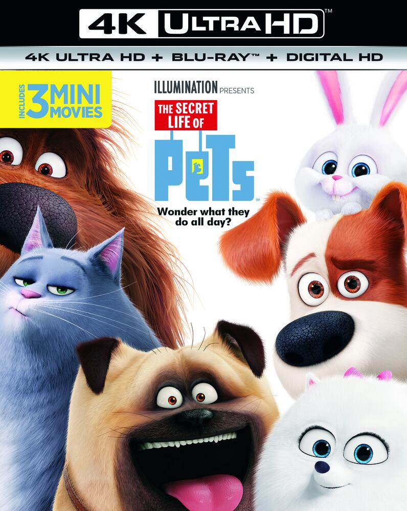 The Secret Life Of Pets 4K Ultra HD