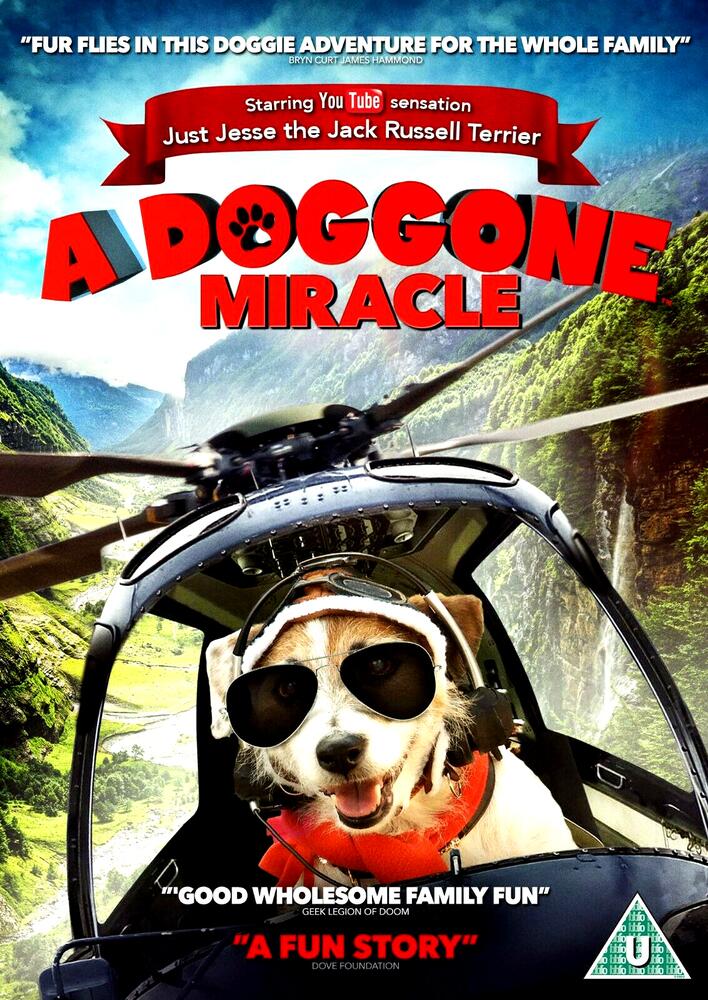 A Doggone Miracle DVD