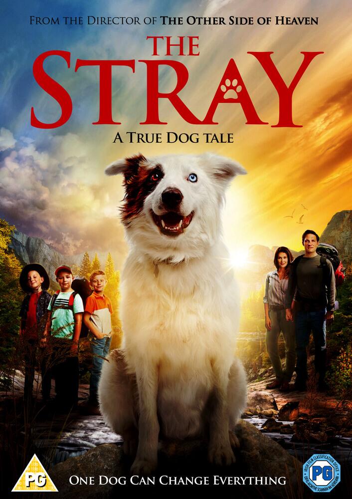 The Stray DVD