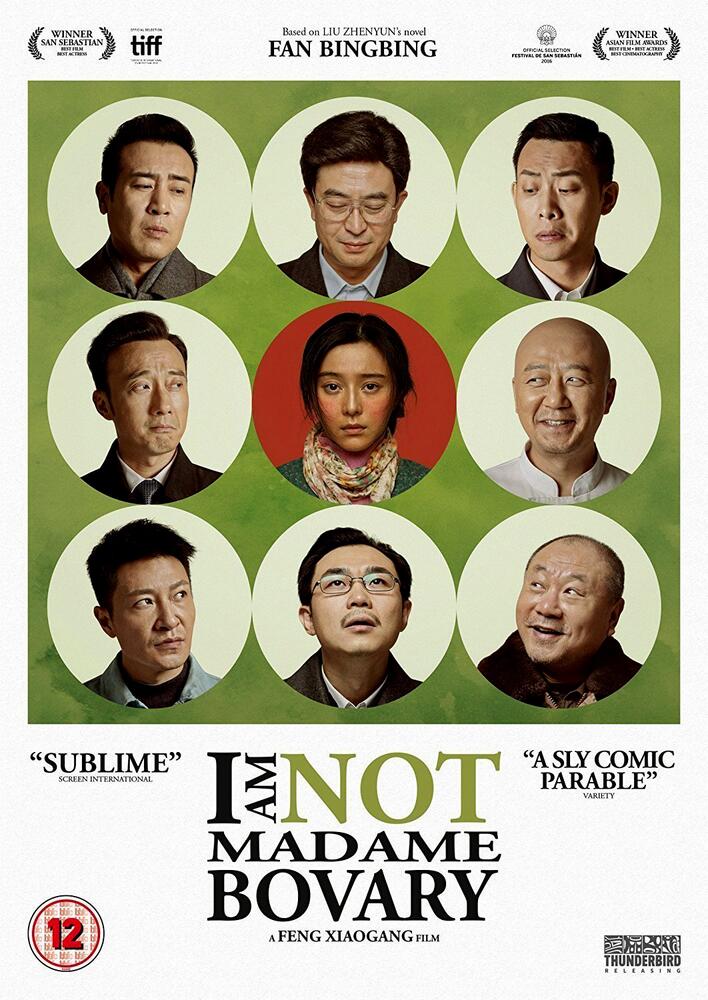 I Am Not Madame Bovary DVD