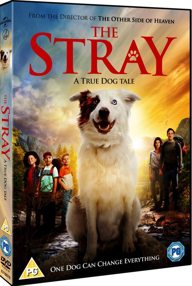 The Stray DVD