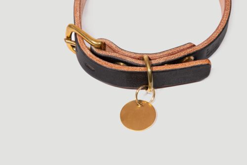 Close-up of brass buckle, D ring and dog tag (not included) on the bkd Collar