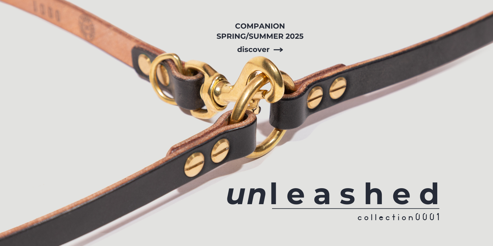 Spring and Summer 2025 launch of collar and leashes for companions range. Close up image of brass buckle and leather