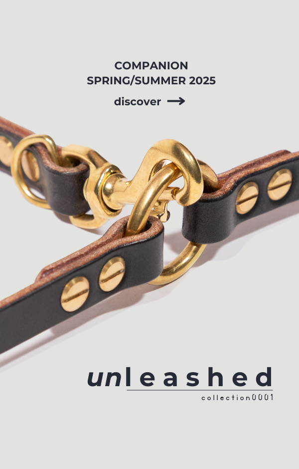 Spring and Summer 2025 launch of collar and leashes for companions range. Close up image of brass buckle and leather