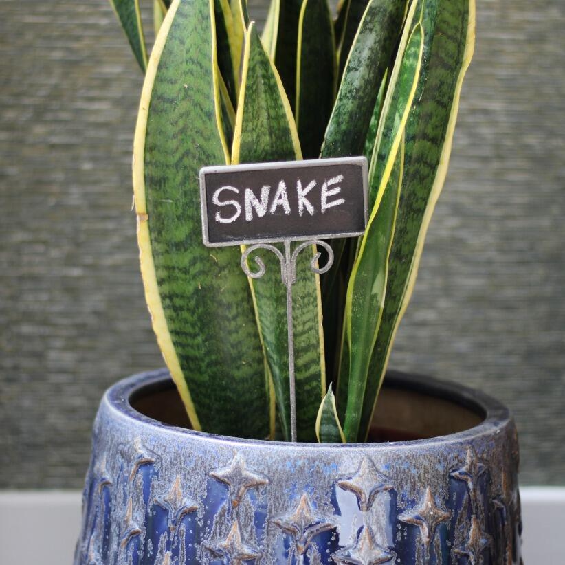 metal plant markers indoor pot