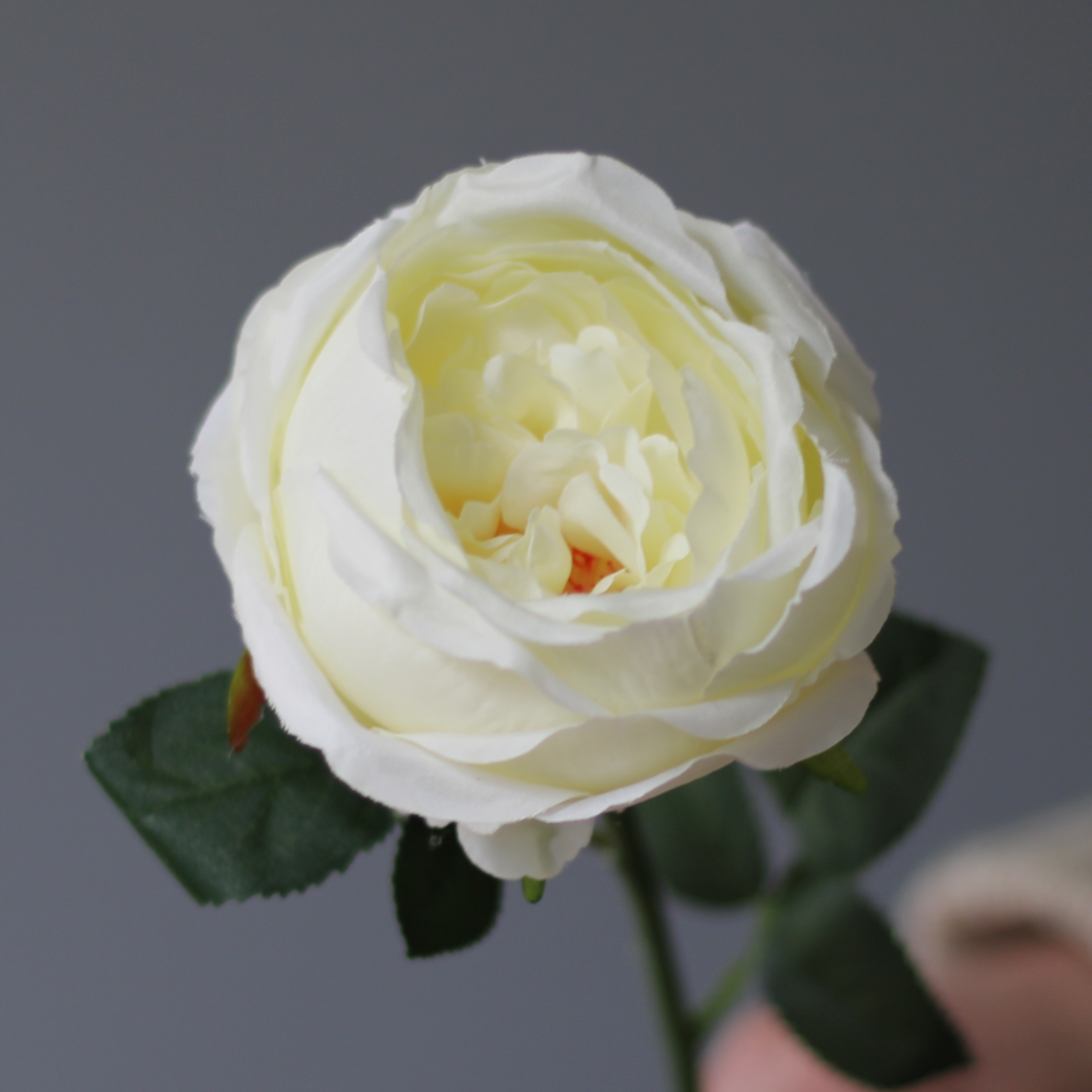 high quality faux silk rose in ivory