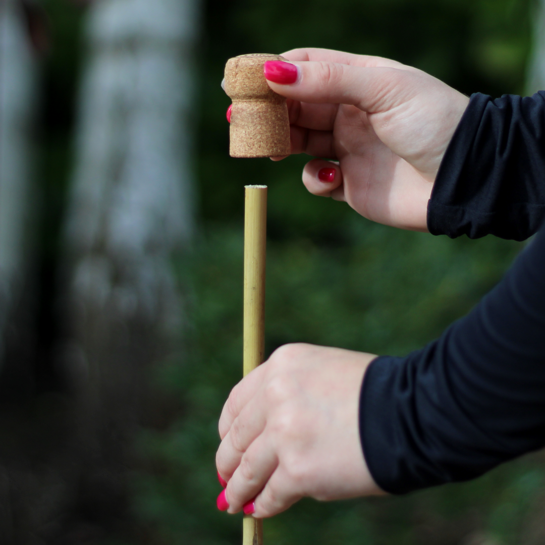 champagne cork used as a bamboo cane topper for the garden