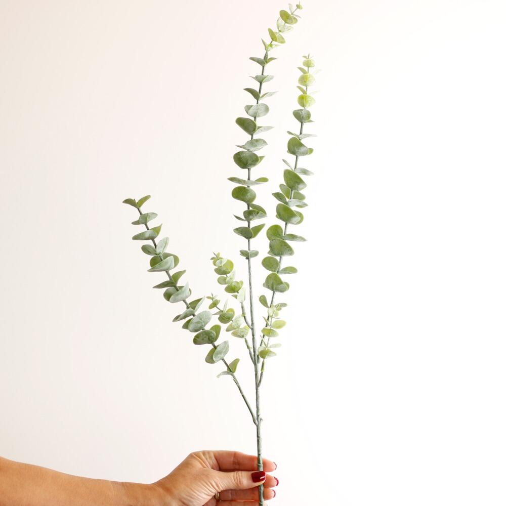 artificial eucalyptus stem natural green closeup