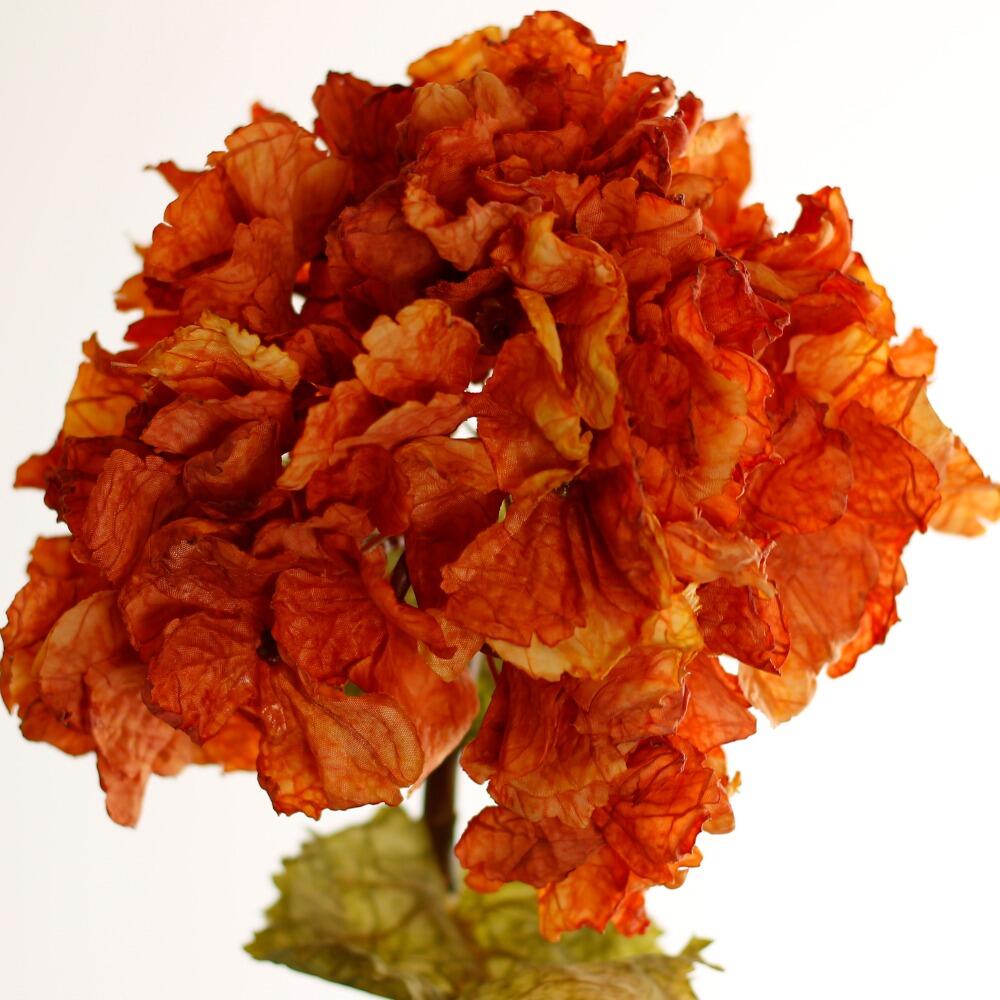 artificial dried  ruffled hydrangea in orange closeup