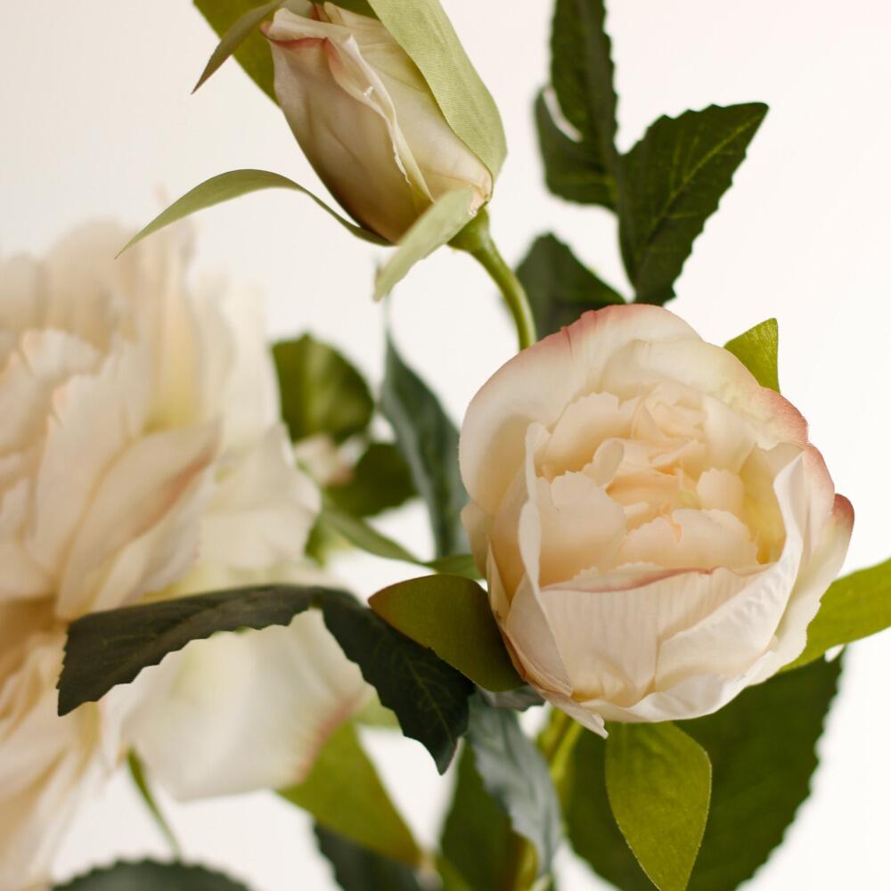 luxury Ivory peonies silk artificial flowers closeup name Paeonia Intersectional Hillary