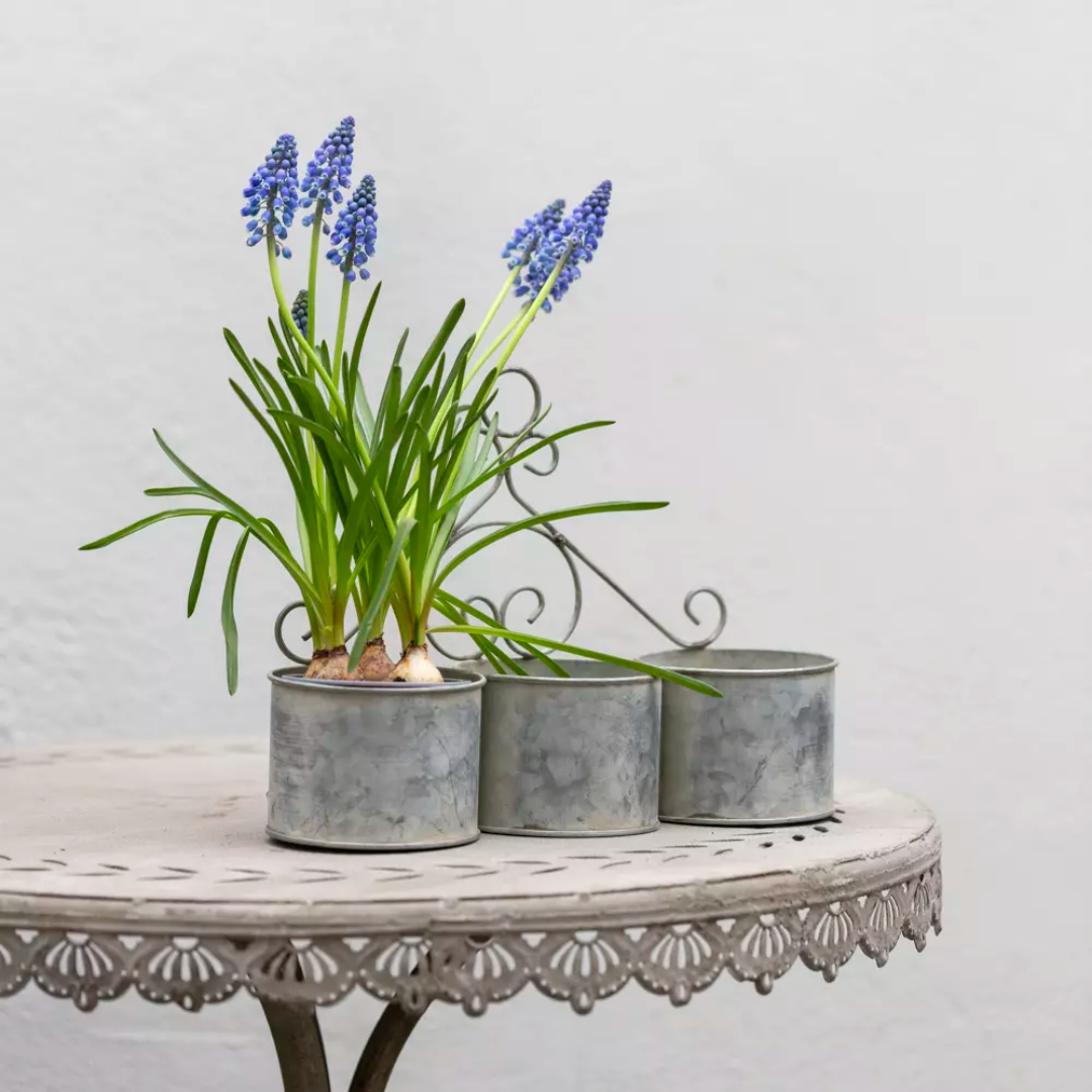 rustic wall planter