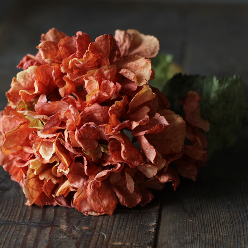 Orange artificial hydrangea stem on a rustic table