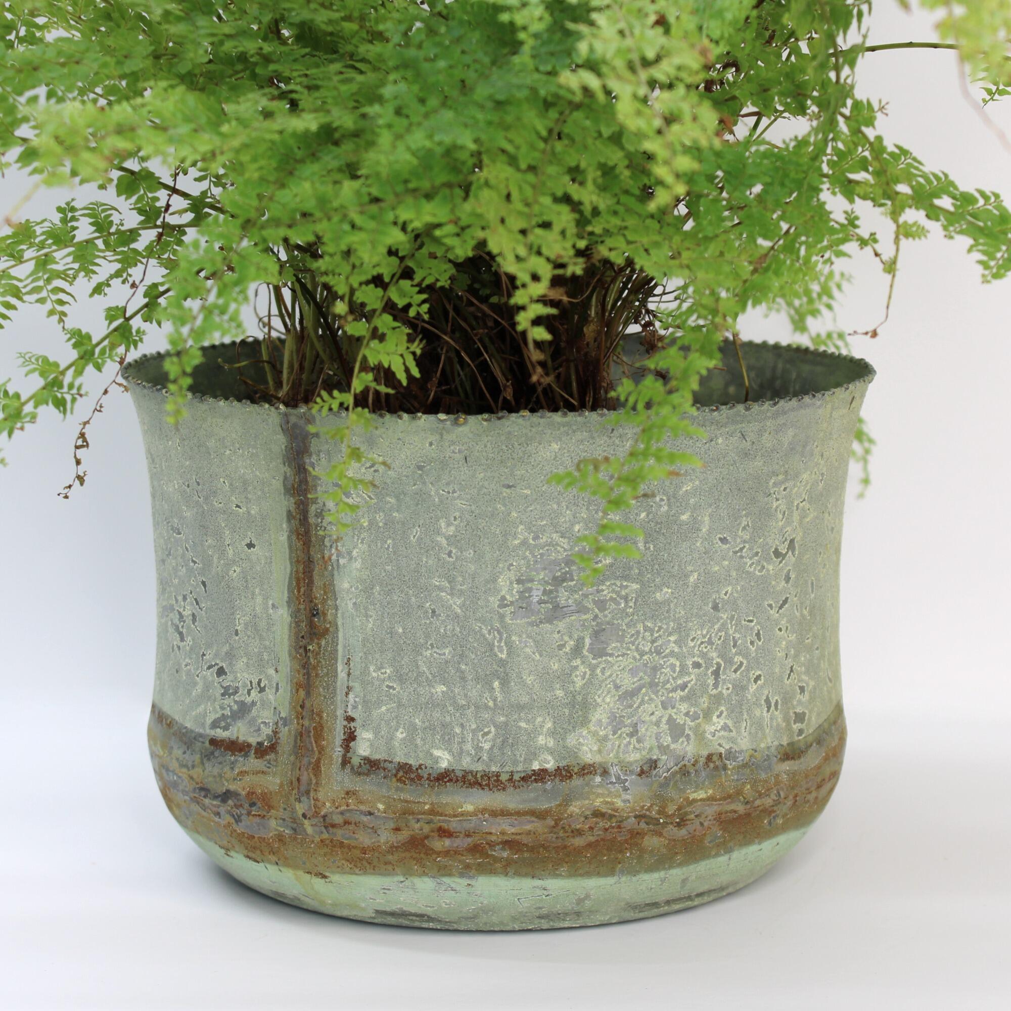 Aged metal plant pot with Boston fern