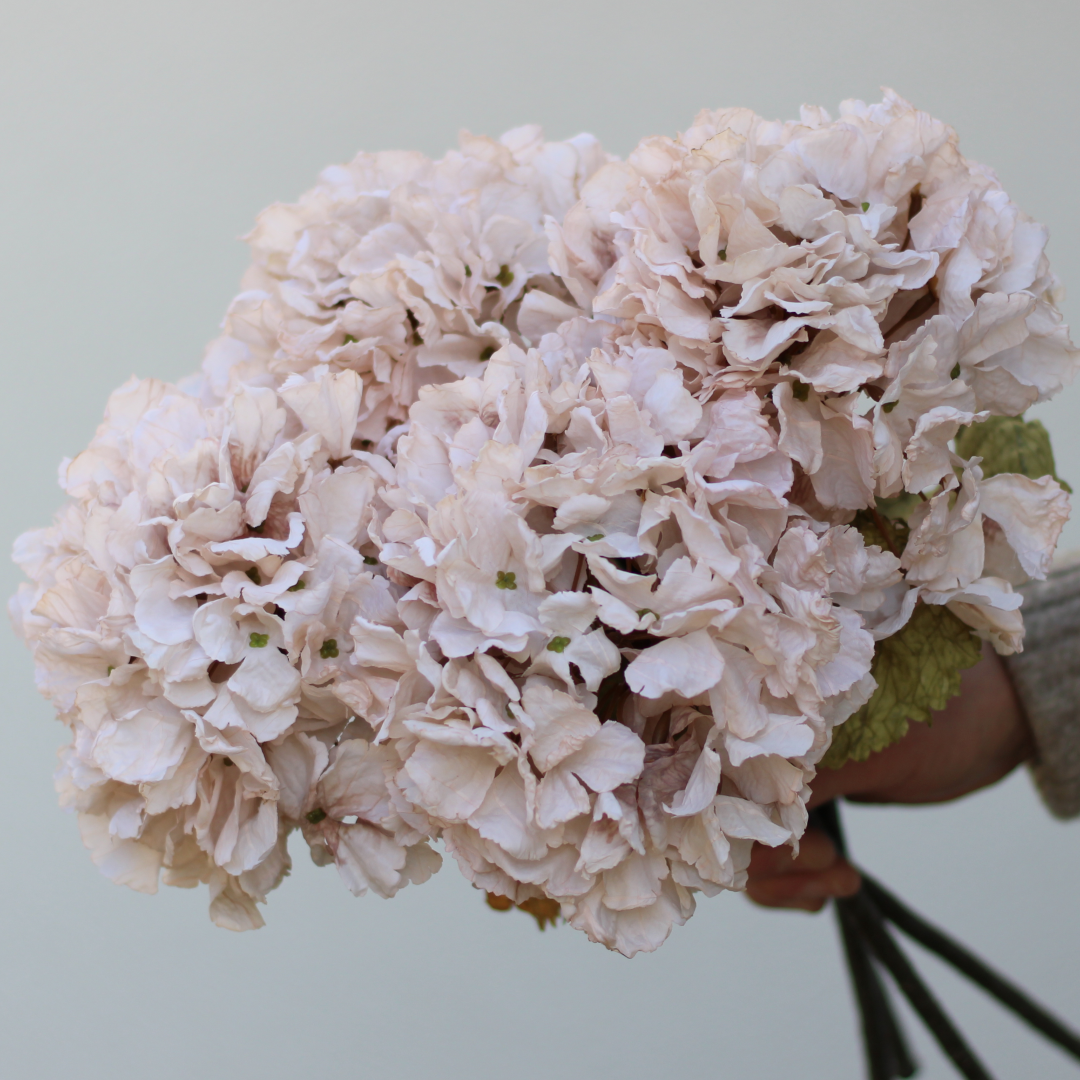 bunch of light cream coloured artificial hydrangea flowers