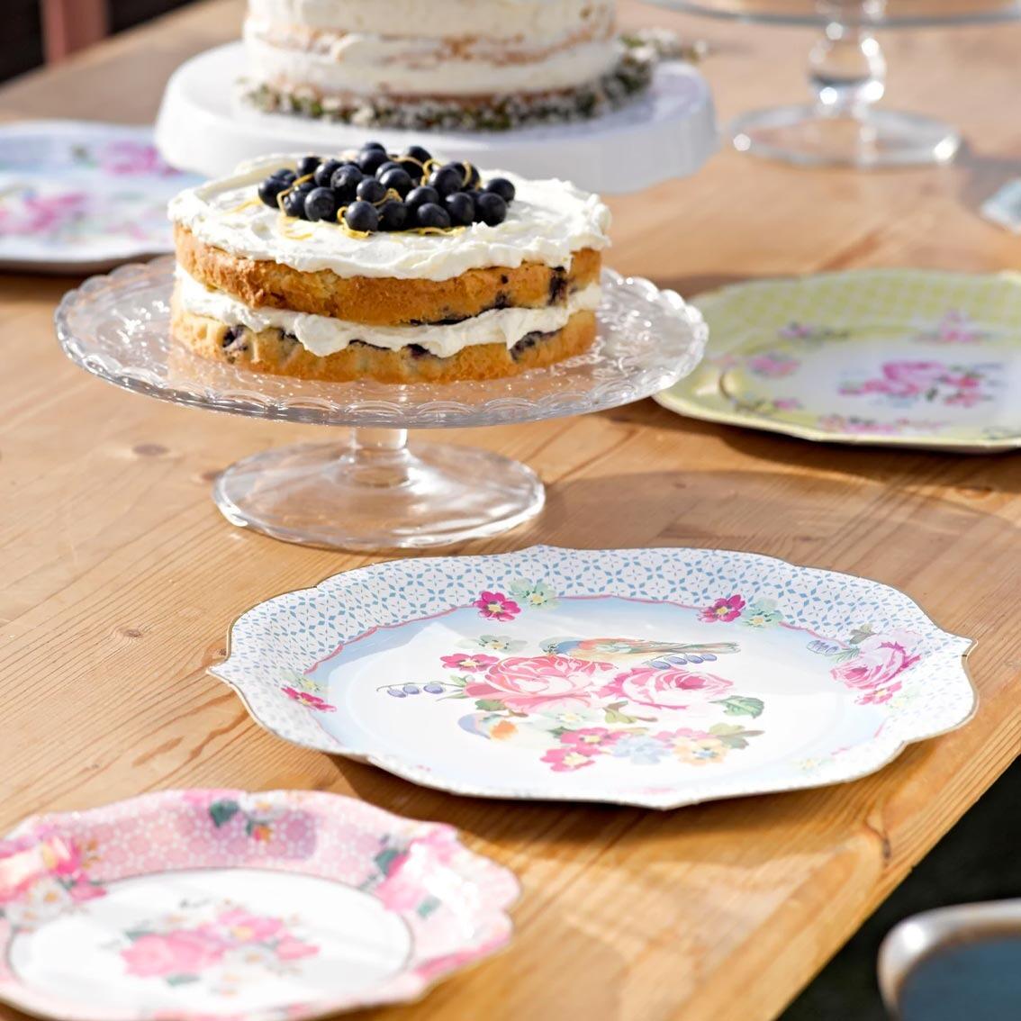 Disposable truly scrumptious serving party plates  with cake