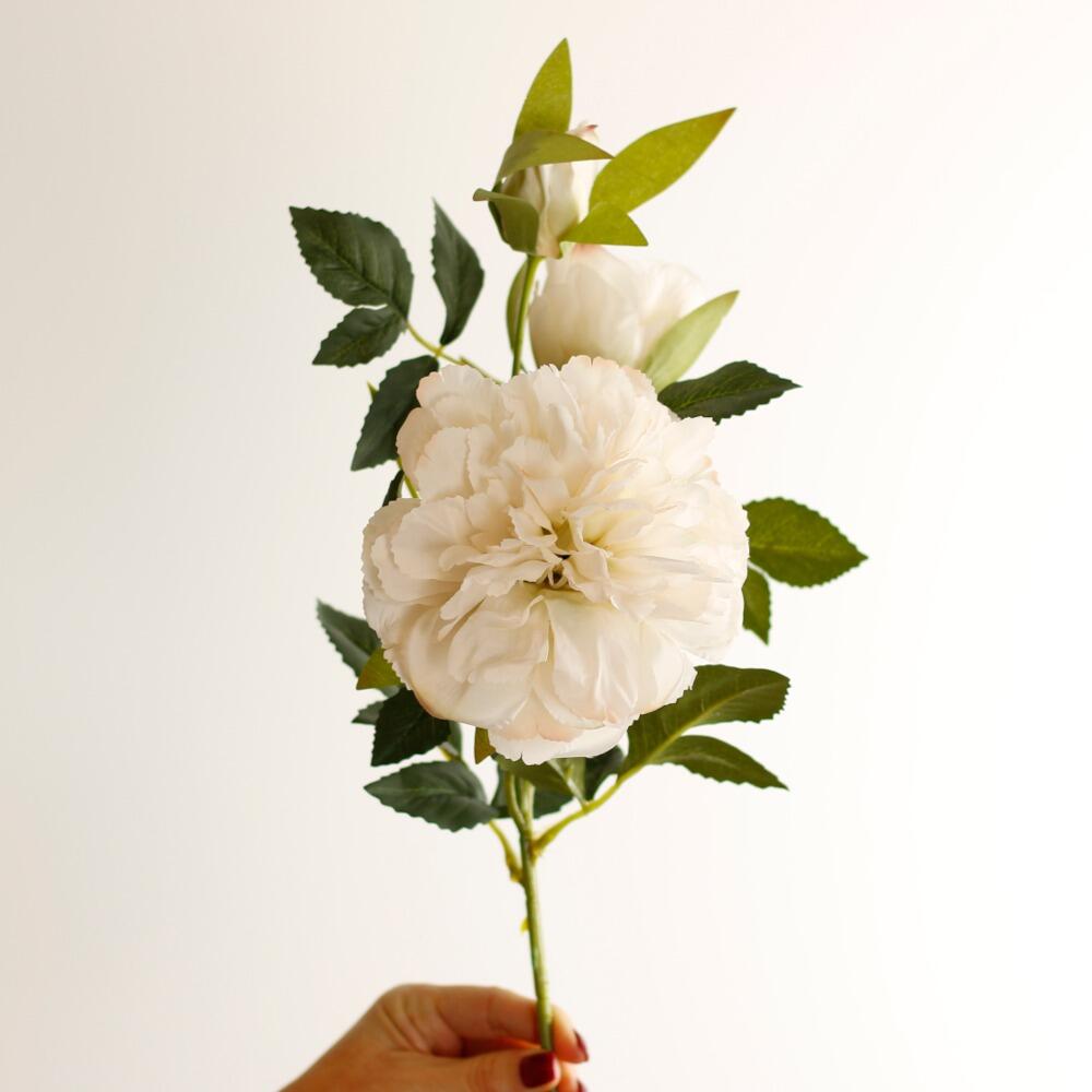 luxury Ivory peonies silk artificial flowers name Paeonia Intersectional Hillary