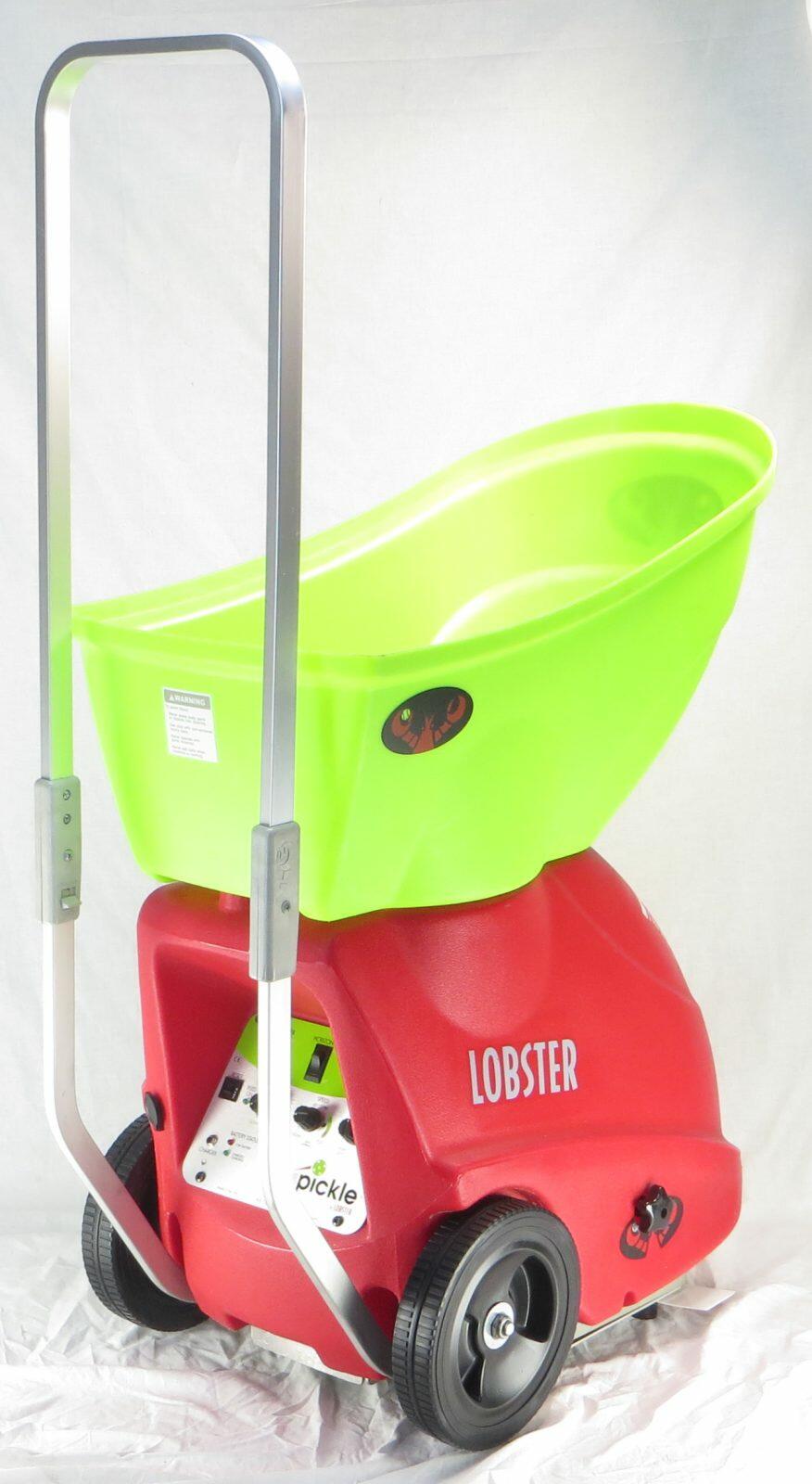 lobsterpickle7.jpg