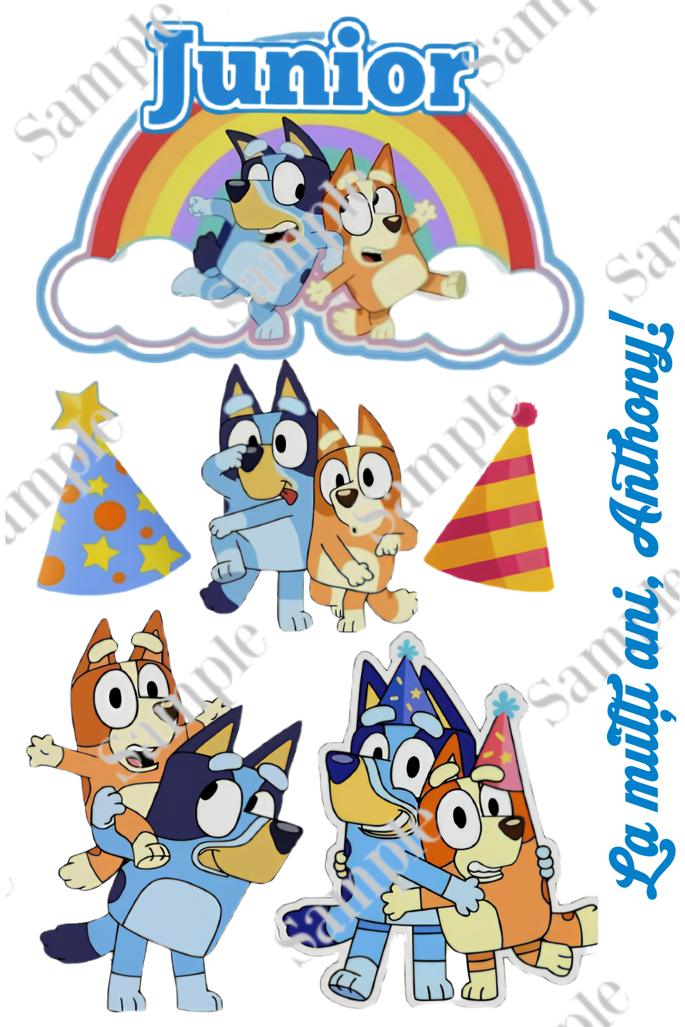 Bluey themed edible print for birthday cake