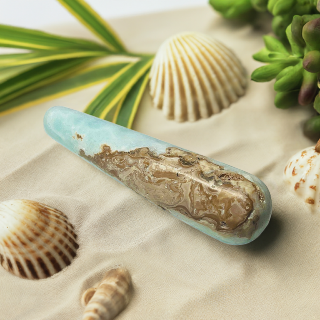 caribbean calcite wand on the beach with some seashells