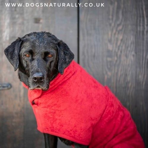 Pet Shop for Dogs (Dog Drying Coat - Red)