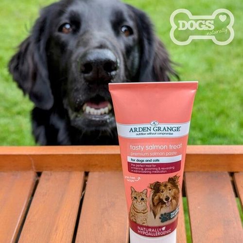 Premium Salmon Paste Dog Treat