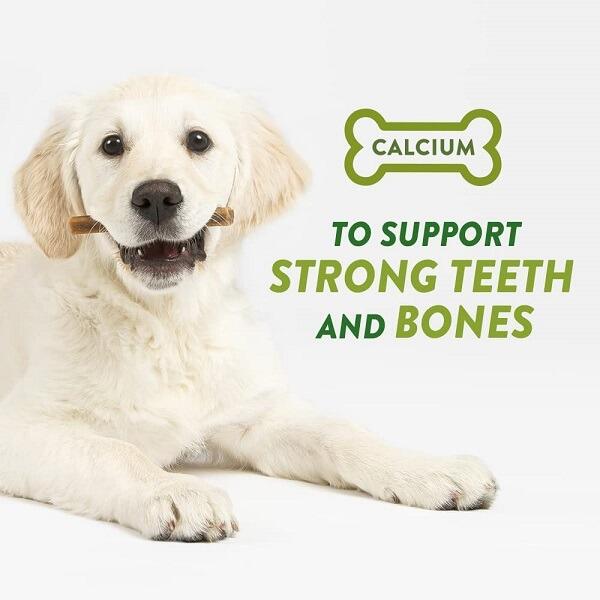 Whimzees Puppy Chews  - Support Strong Bones & Teeth