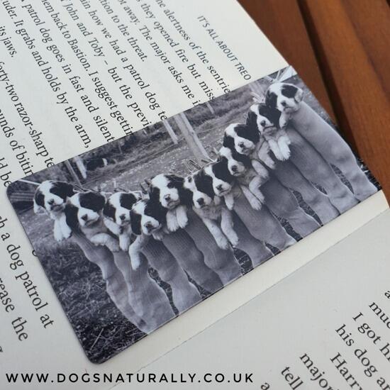 Spaniel Puppies Bookmark