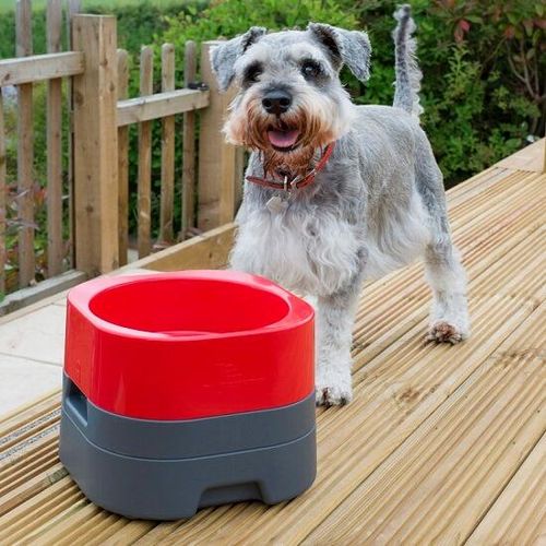 PetWeighter Raised Non Slip Dog Bowls