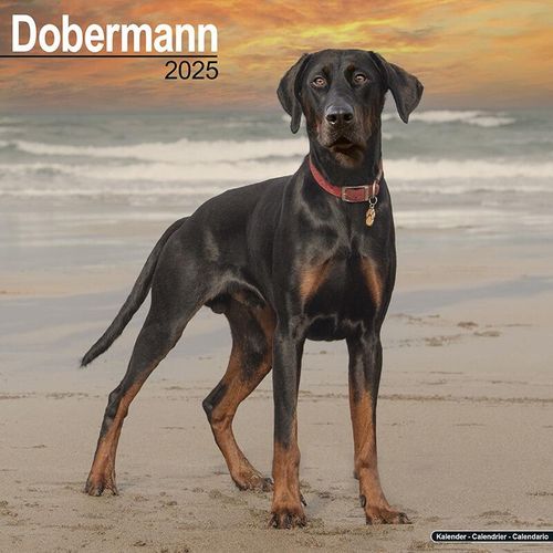 Dobermann Dog Lover GIfts