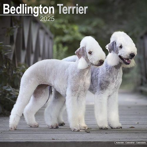 Bedlington Terrier Dog Lover Gufts