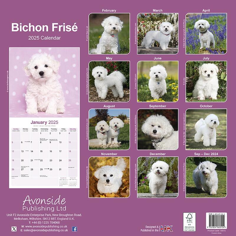 Bichon 2025 Calendar