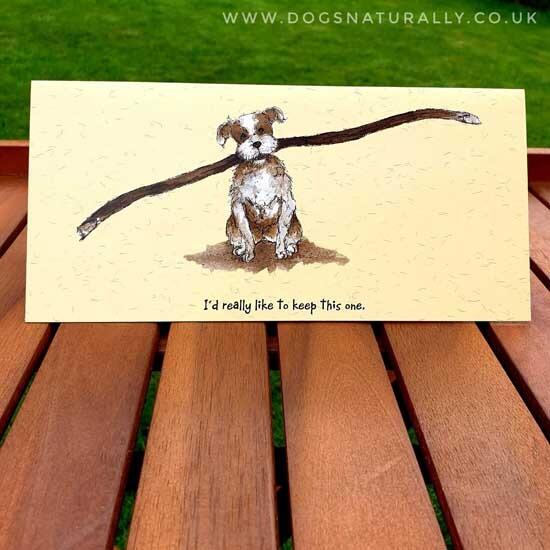 Big Stick Fun Dog Lover Card - Little Dog Laughed  Card