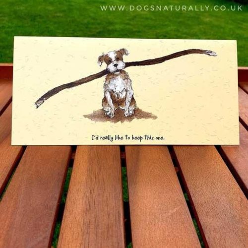 Big Stick Fun Dog Lover Card - Little Dog Laughed  Card