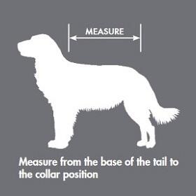 Flecta Coat Measuring Guide