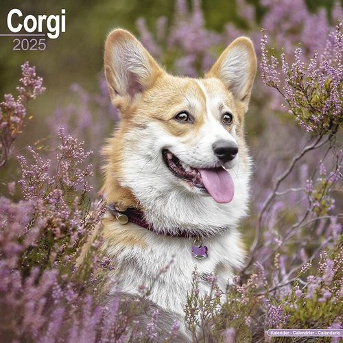 Corgi Dog Breed Gifts