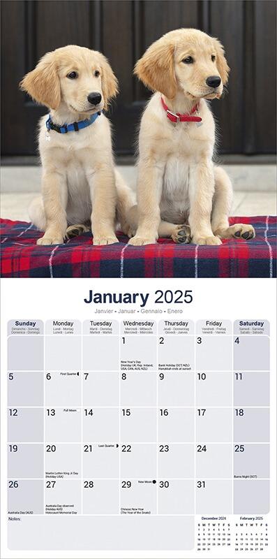 Golden Retriever Calendar 2025 Planner