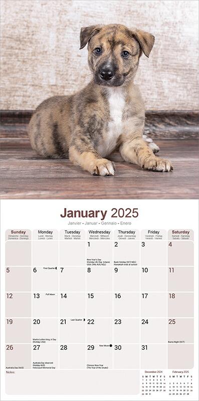 Greyhound Calendar 2025 Planner