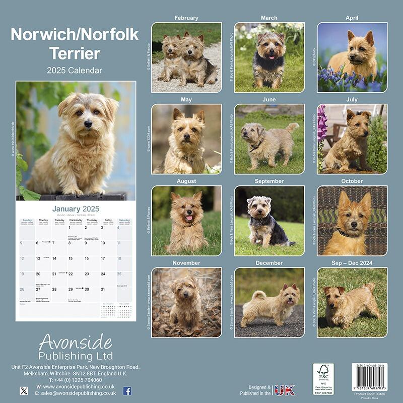 Norwich/Norfolk Wall Calendar 2025