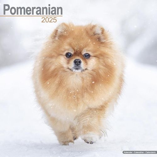 Pomeranian Calendar 2025