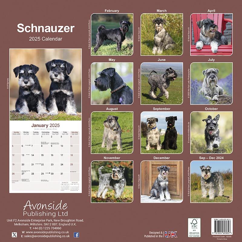 Schnauzer Well Calendar 2025