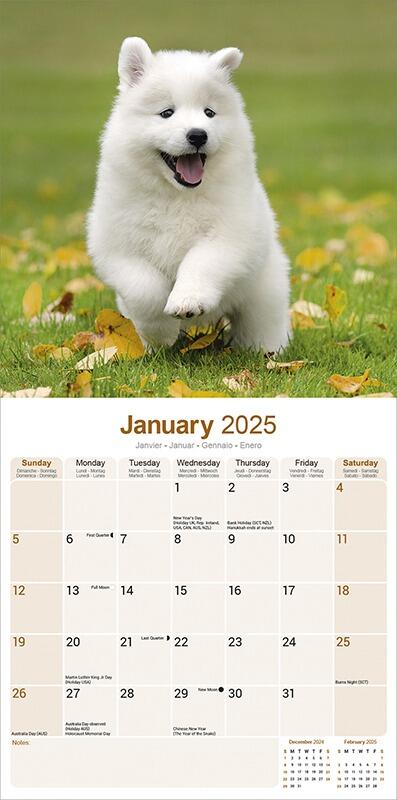Samoyed Calendar 2025 Planner